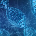 Exploring the Ethical Implications of Genetic Engineering